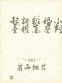 起诉离婚小孩抚养权怎么判