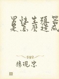 男性生殖器弯曲是怎么造成的封面