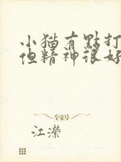 小猫有点打喷嚏但精神很好