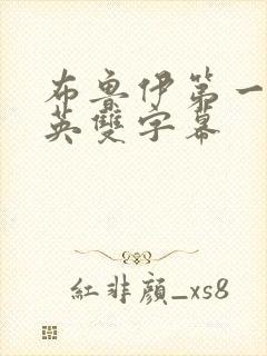 布鲁伊第一季中英双字幕封面