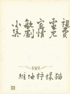 小敏家电视剧全集剧情免费观看