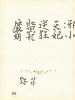 废柴逆天:邪王霸宠狂妃小说