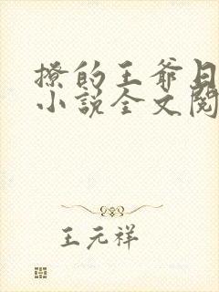 撩的王爷日日宠小说全文阅读