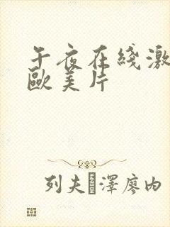 午夜在线激情看欧美片