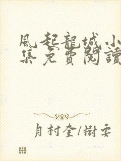 风起龙城小说全集免费阅读