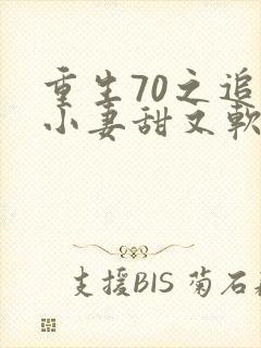 重生70之追夫小妻甜又软