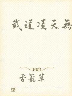 武道凌天无弹窗