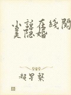 小说在线阅读完美隐婚