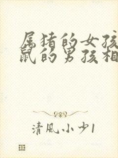 属猪的女孩和属鼠的男孩相配吗