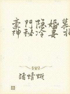 豪门隐婚慕少的神秘冷妻 北川云上锦封面