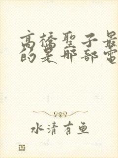 高桥圣子最好看的是哪部电视剧