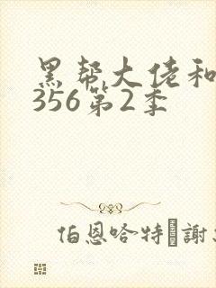 黑帮大佬和我的356第2季