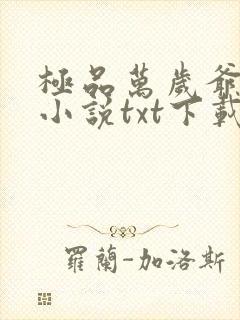 极品万岁爷妖刀小说txt下载