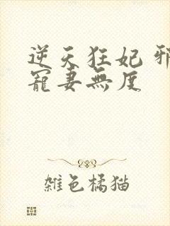 逆天狂妃 邪王宠妻无度