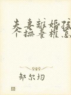 夫妻离婚孩子两个抚养权怎么判定