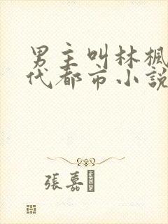 男主叫林枫的现代都市小说封面