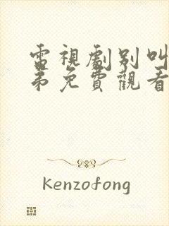 电视剧别叫我兄弟免费观看全集封面