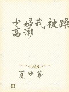 少妇我被躁爽到高潮封面