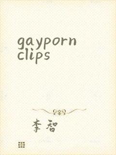 gaypornclips
