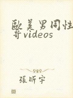 欧美男同性恋帅哥videos封面