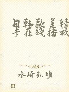 日韩欧美精品不卡在线播放