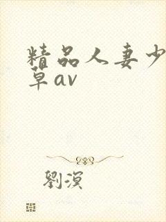 精品人妻少妇嫩草av封面