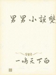 男男小说双性h