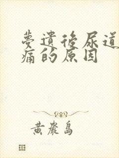 梦遗后尿道口刺痛的原因