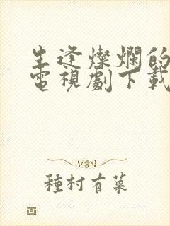 生逢灿烂的日子电视剧下载封面