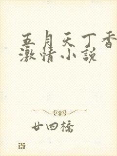 五月天丁香婷婷激情小说