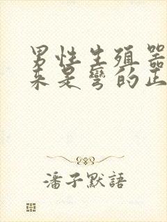 男性生殖器硬起来是弯的正常吗