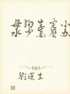 母狗生完小狗奶水少怎么办