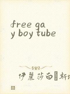 free gay boy tube封面
