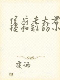 侯府老太君重生后和离的小说