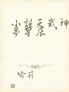 小说天武神帝醉梦星辰