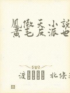 凤傲天小说里的黄毛反派也想幸福txt