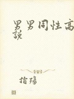 男男同性高潮小说