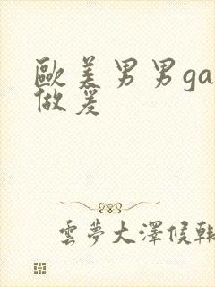 欧美男男gay做爰