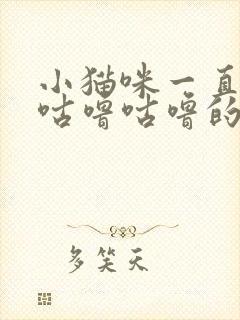 小猫咪一直发出咕噜咕噜的声音