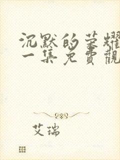 沉默的荣耀第十一集免费观看