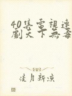 40集电视连续剧天下无毒