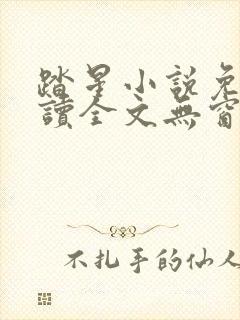 踏星小说免费阅读全文无窗口