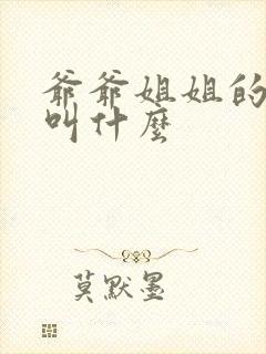 爷爷姐姐的老公叫什么