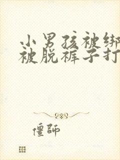 小男孩被绑架并被脱裤子打屁股视频了