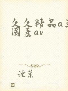 久久精品a亚洲国产av