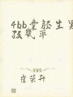 4bb囊胚生男孩几率