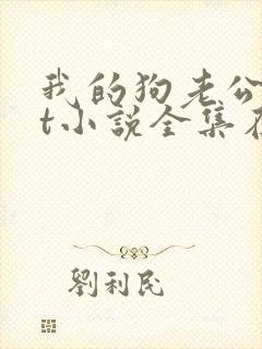 我的狗老公txt小说全集在线阅读封面