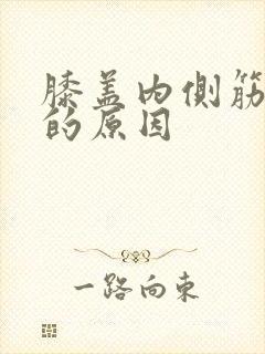 膝盖内侧筋疼痛的原因