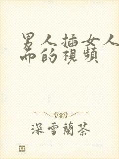 男人插女人的下面的视频