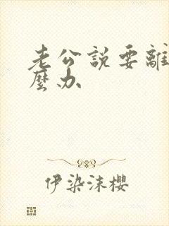 老公说要离婚怎么办封面